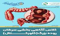  کلاس آگاهی بخشی سرطان روده بزرگ در فرهنگسرای گلستان